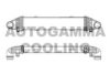 AUTOGAMMA 105632 Intercooler, charger